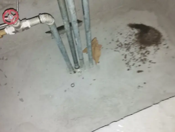 新郑卫生间测漏水价格明细